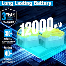 Load image into Gallery viewer, SOLD (Lawn & Garden) WeGofly 500 CFM Cordless Leaf Blower/2 x 21V 6.0Ah Battery and Charger